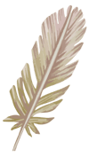 feather